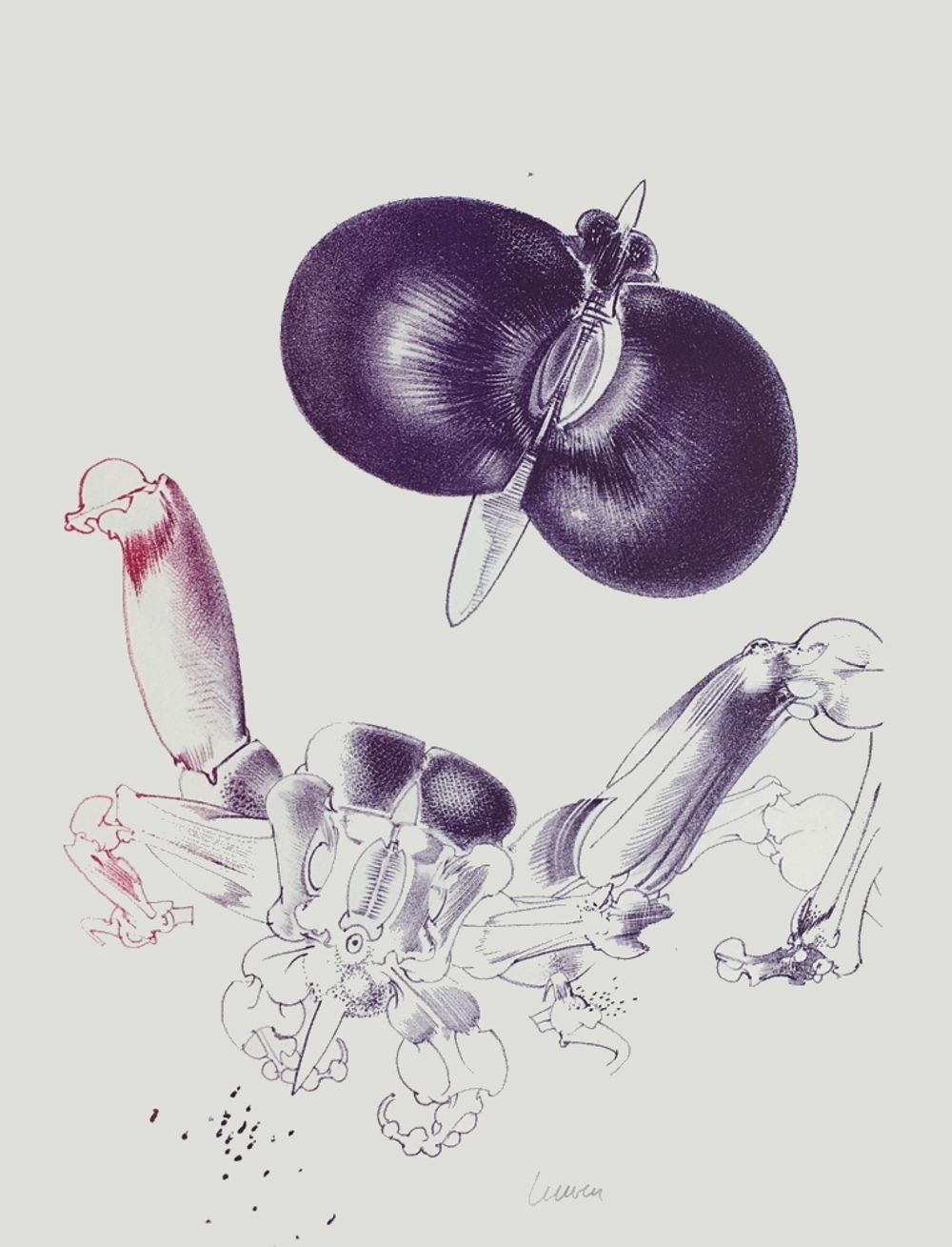 Variation sur l'imaginaire