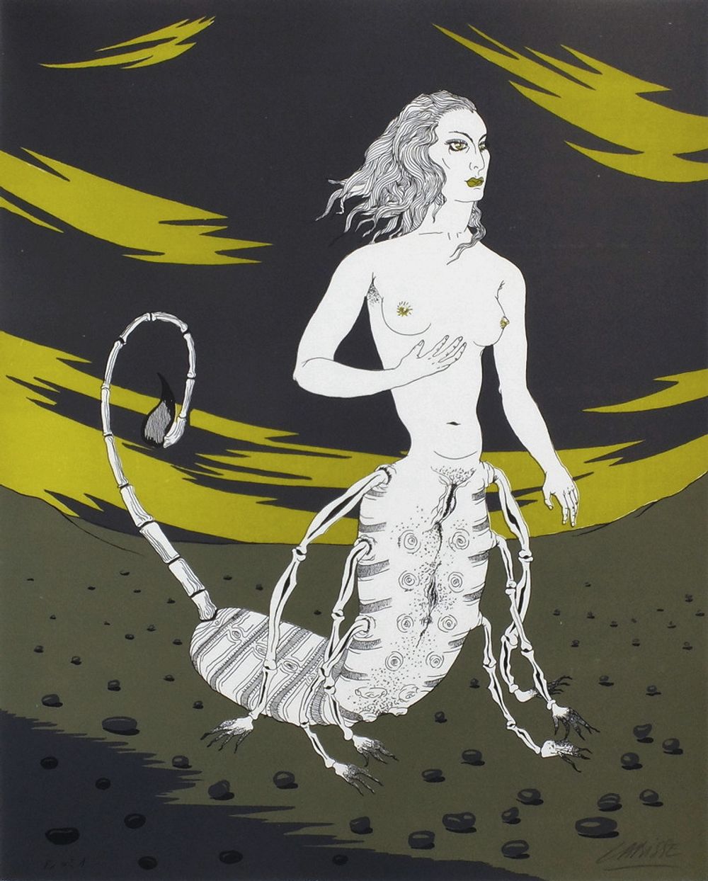 Histoire naturelle : l'Antigone