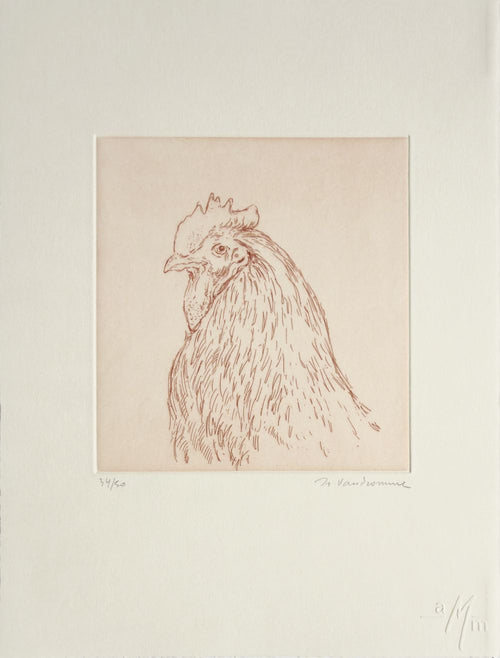 La poule