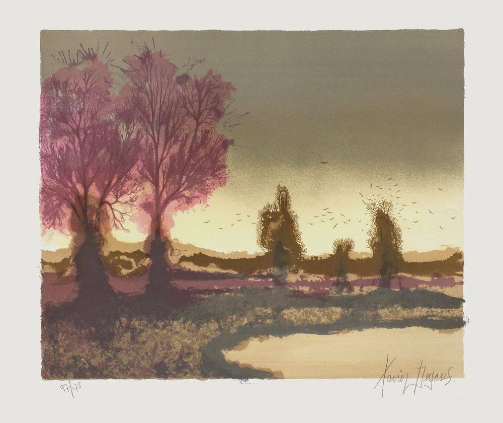 Paysage du marais
