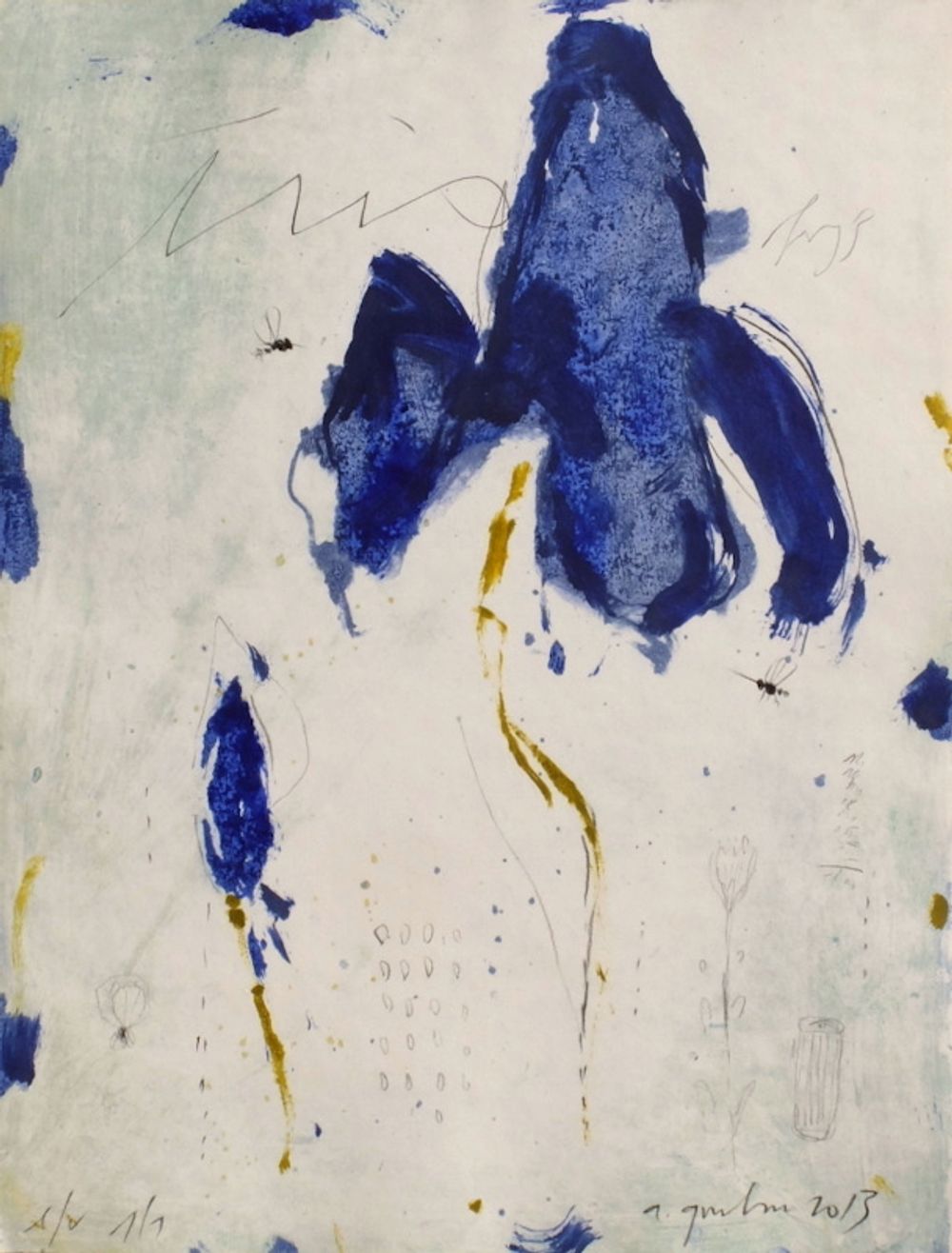 Iris