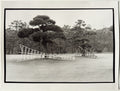 Tokyo - Palais impérial