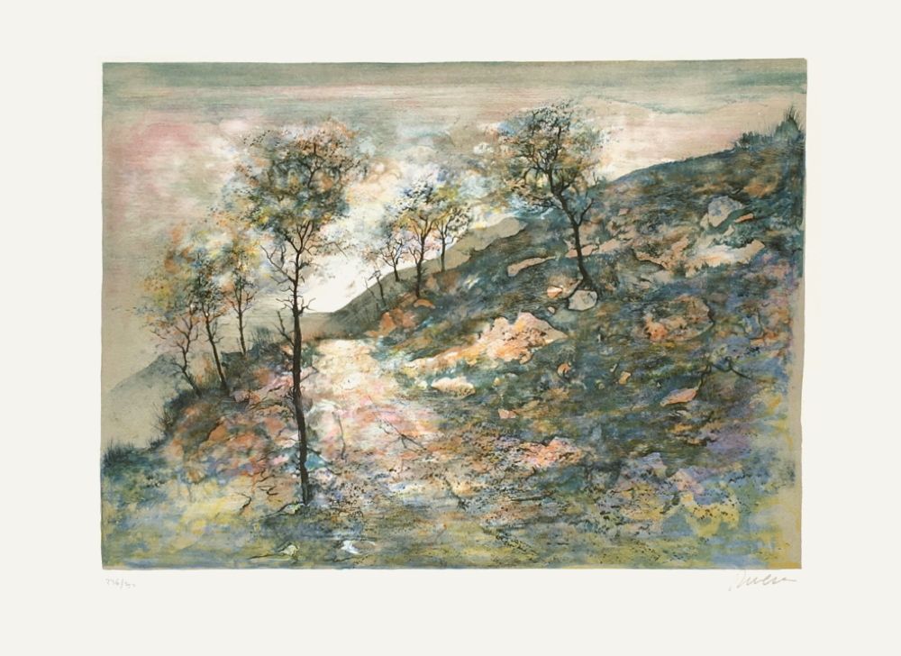 Chemin alpestre