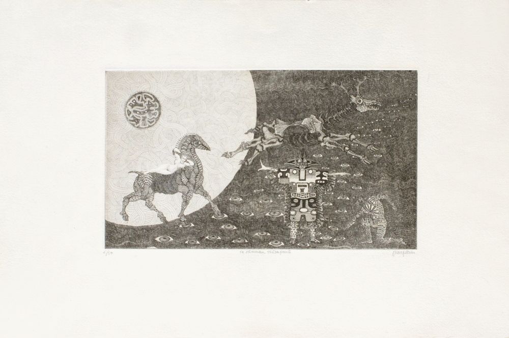 Le shaman thérapeuthe