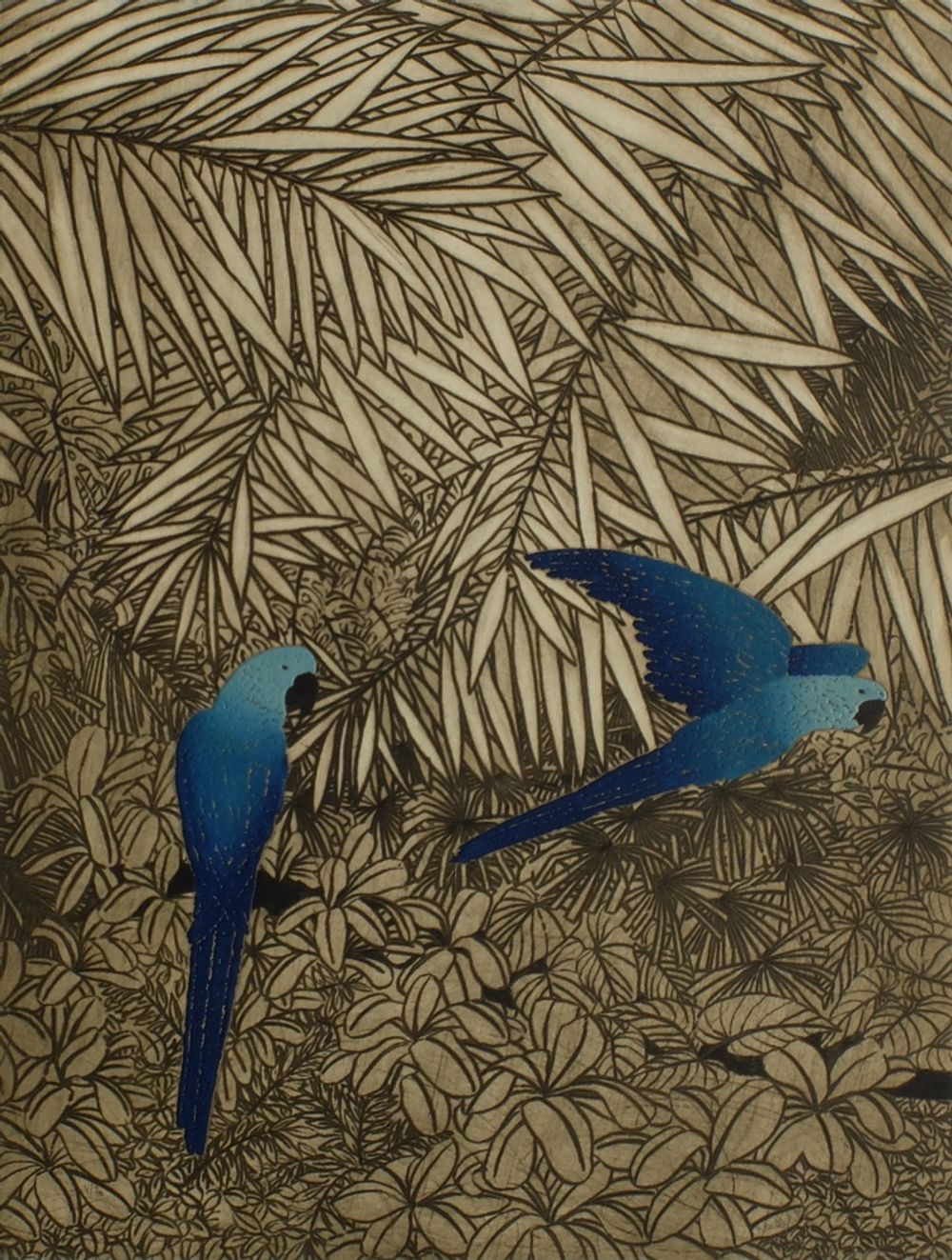 Les perroquets III