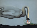 Le cygne et le nénuphar