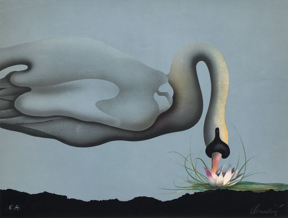 Le cygne et le nénuphar