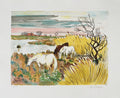 Camargue - Chevaux au paturage