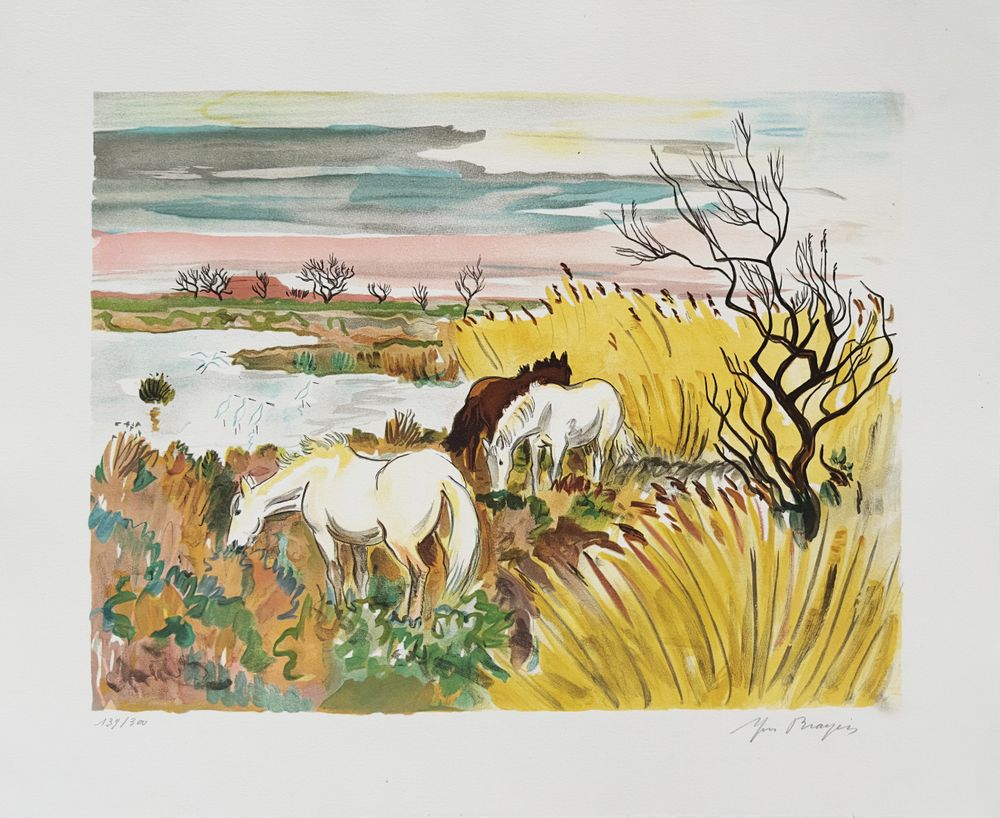 Camargue - Chevaux au paturage