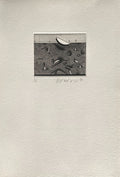 L'oiseleuse VI