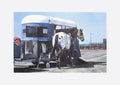 Horse and trailor