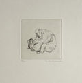 Le singe I