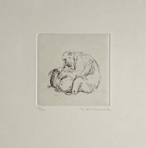 Le singe I
