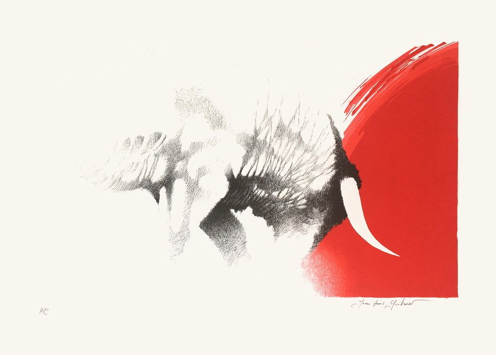 Toros VII