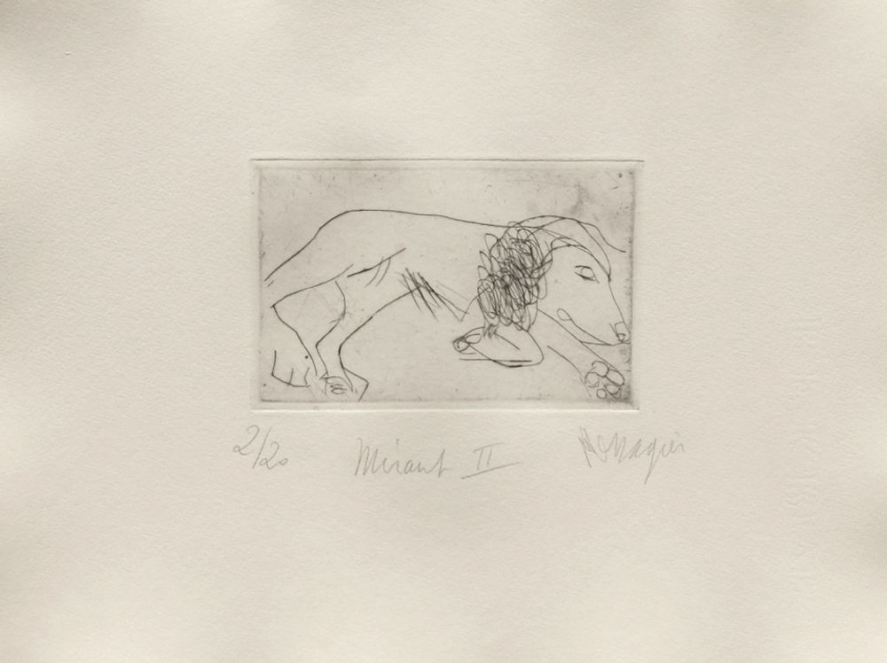 AP034 - Miraut II