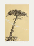 Oblique