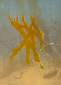 Fortuna 12