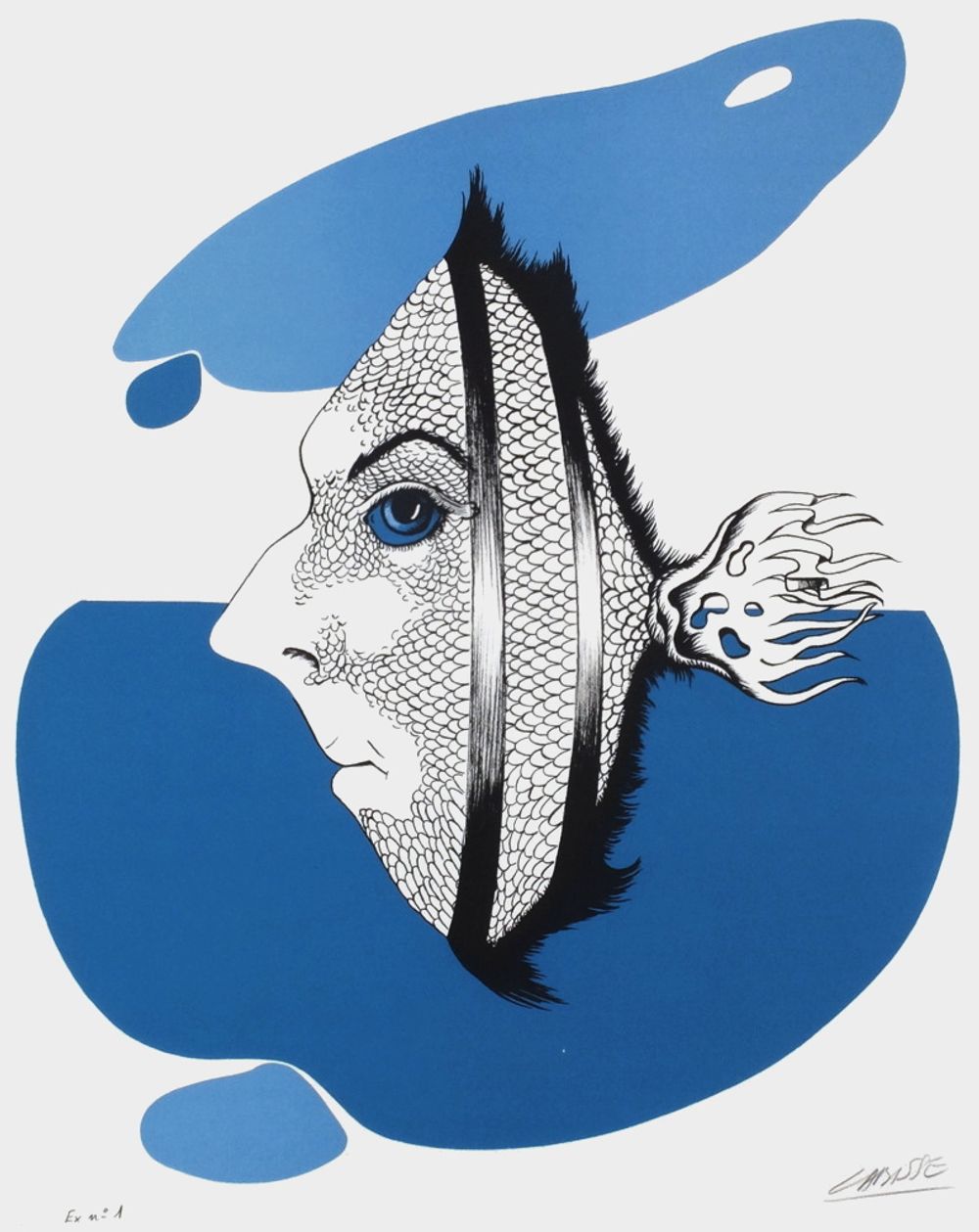 Histoire naturelle : le Fluviot
