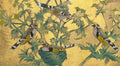 Oiseaux II