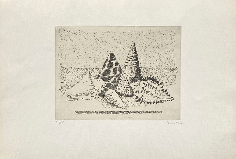 Nature morte aux coquillages