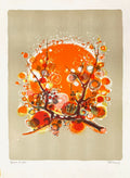 1971 - Branche fleurie au soleil