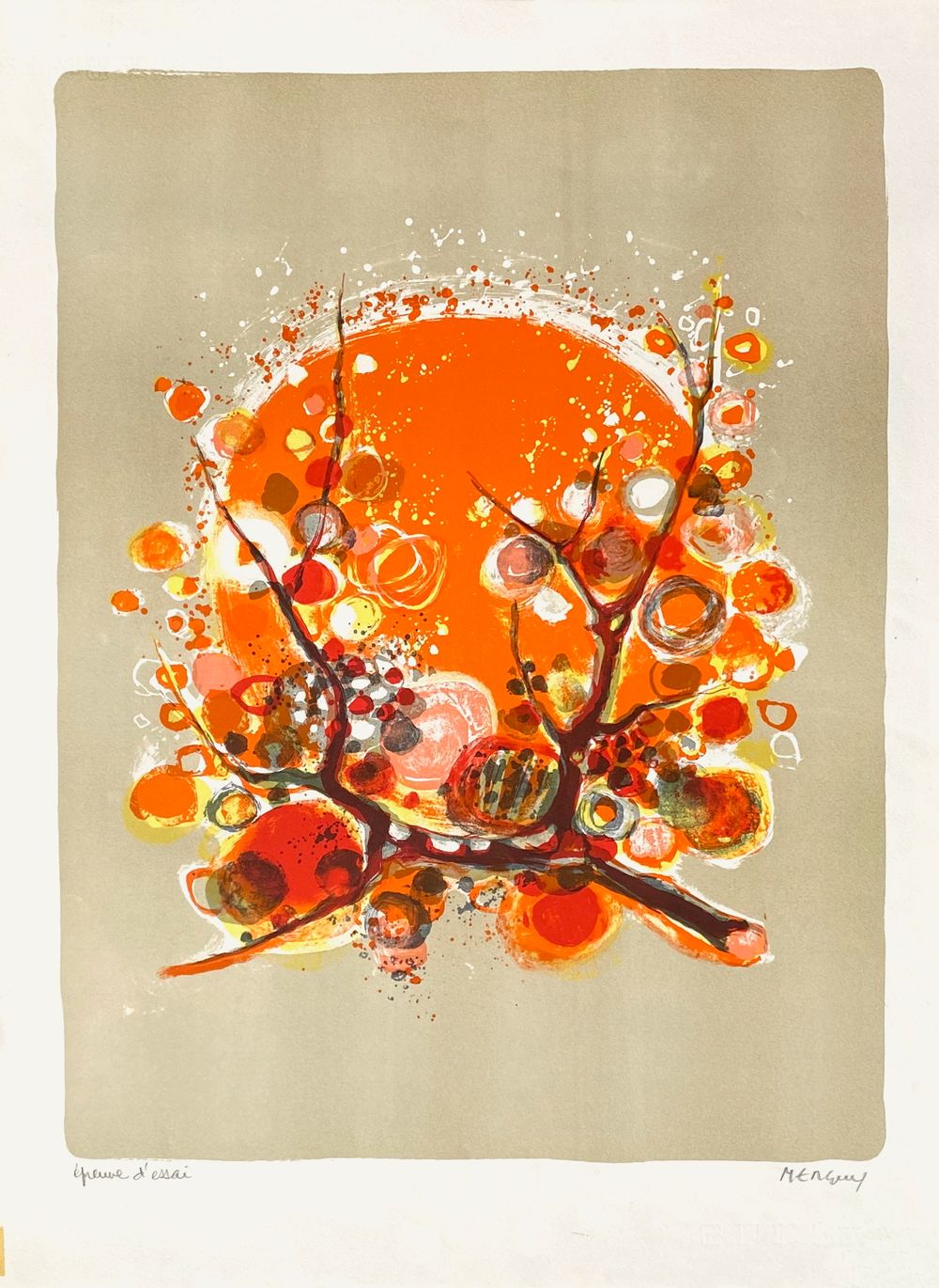 1971 - Branche fleurie au soleil