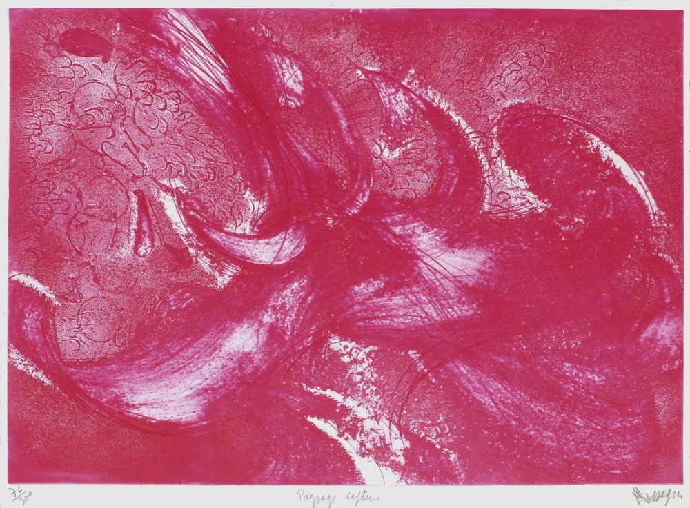AP170 - Paysage capturé