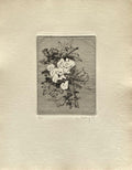 Fleurs NB VI