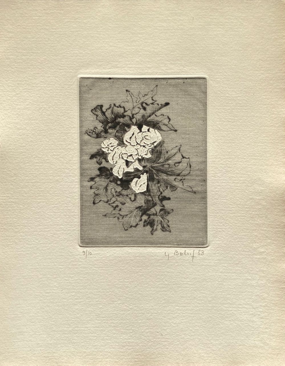 Fleurs NB VI