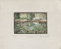 Lily Pond