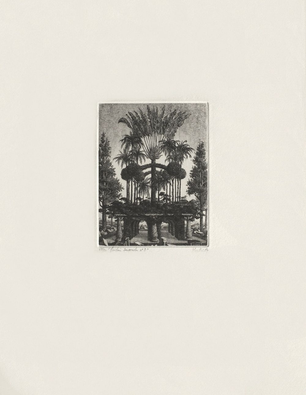 Jardin suspendu n°3