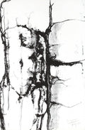 Etude du corps humain 6