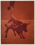 Sangre de toro - cogida