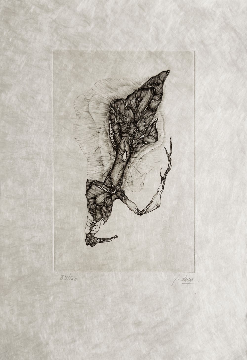 Extroït - 12 gravures signées — vue 13