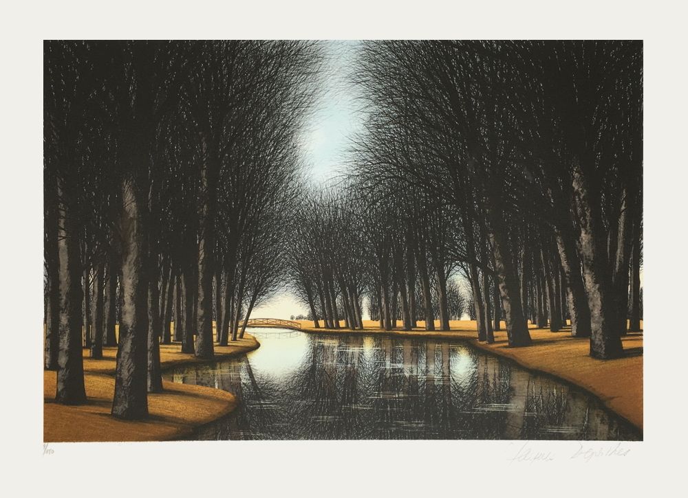 Rivière dans le Parc