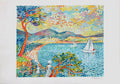 La voile blanche