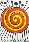 Spirale millepieds