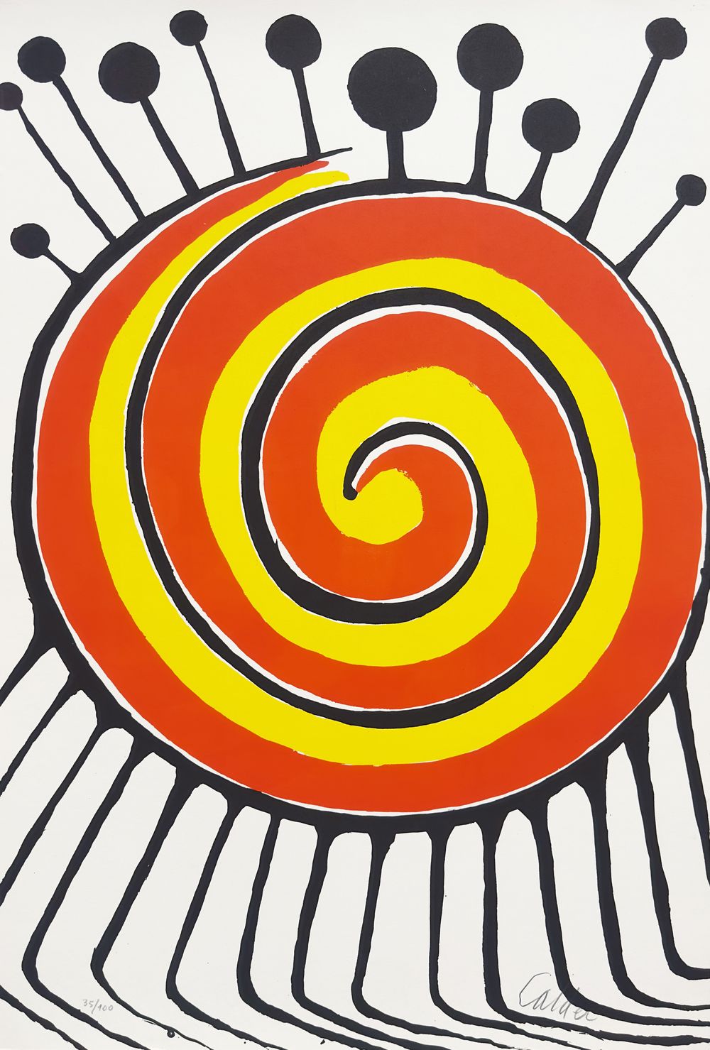 Spirale millepieds