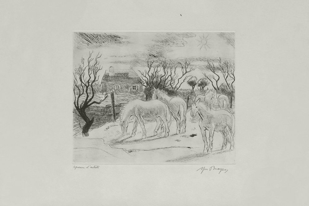 Camargue - Cheval à la cabane