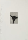 Females series VI