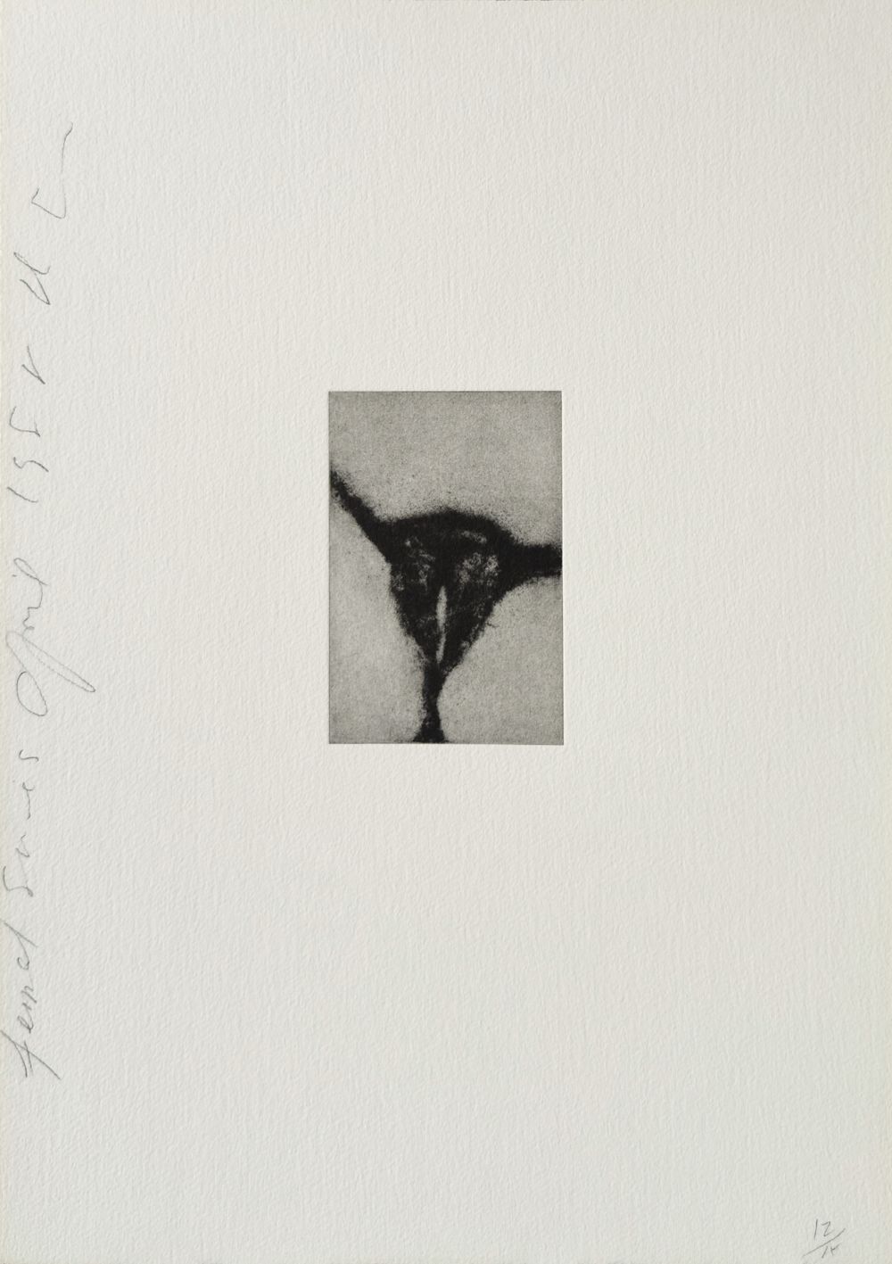 Females series VI