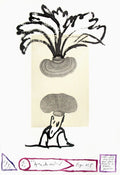 Flora Danica Fig. 5