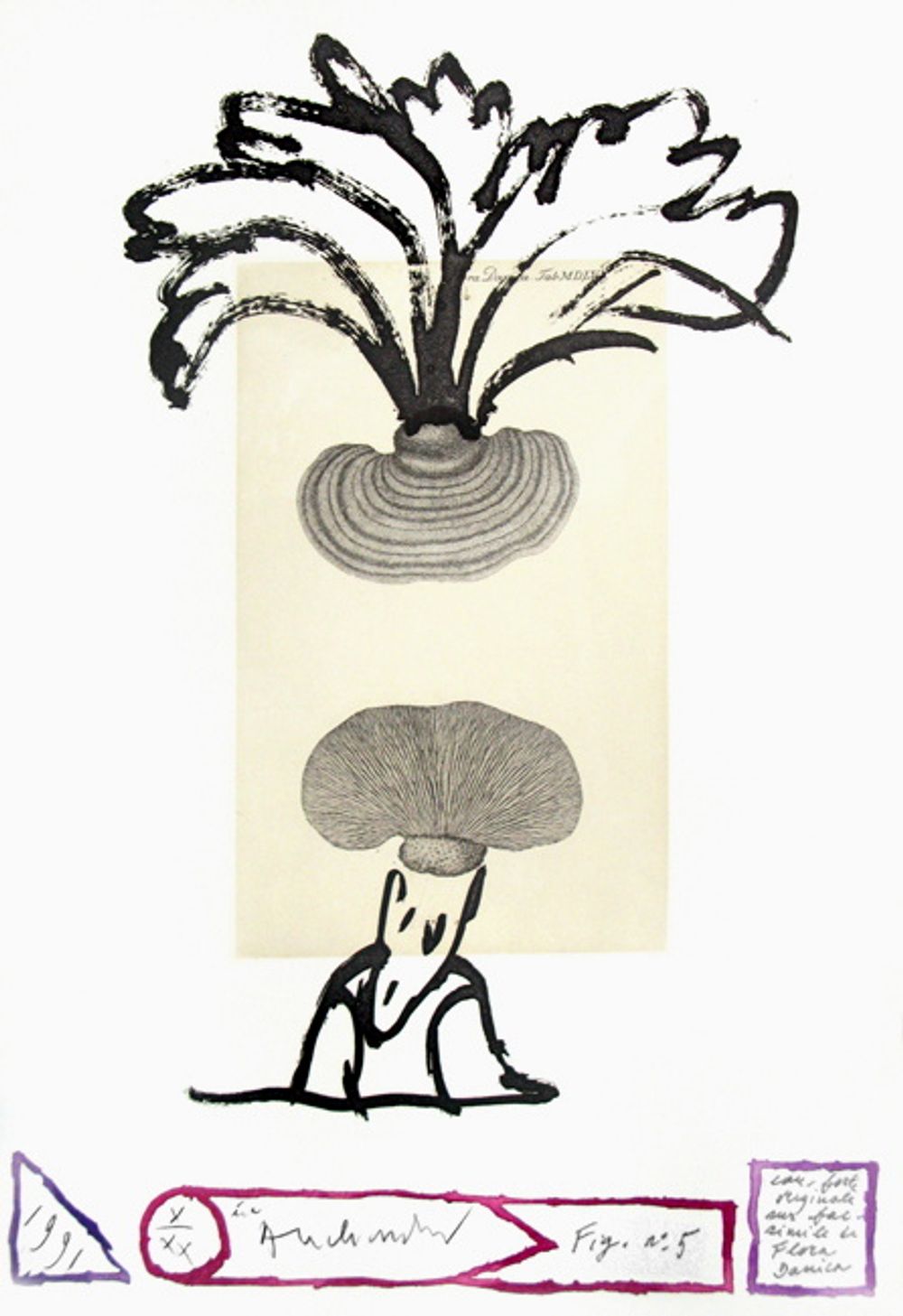 Flora Danica Fig. 5