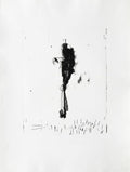 Black line