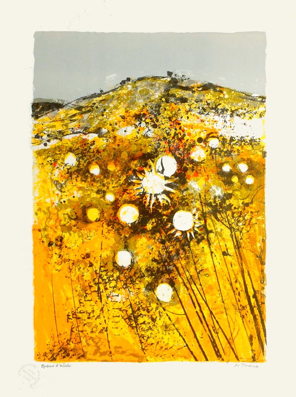 Soleil de Provence I