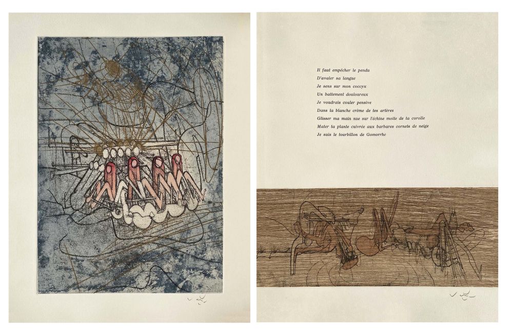 Les Damnations (22 gravures signées dont la suite sur Japon nacré) — vue 2
