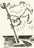 Electric flag
