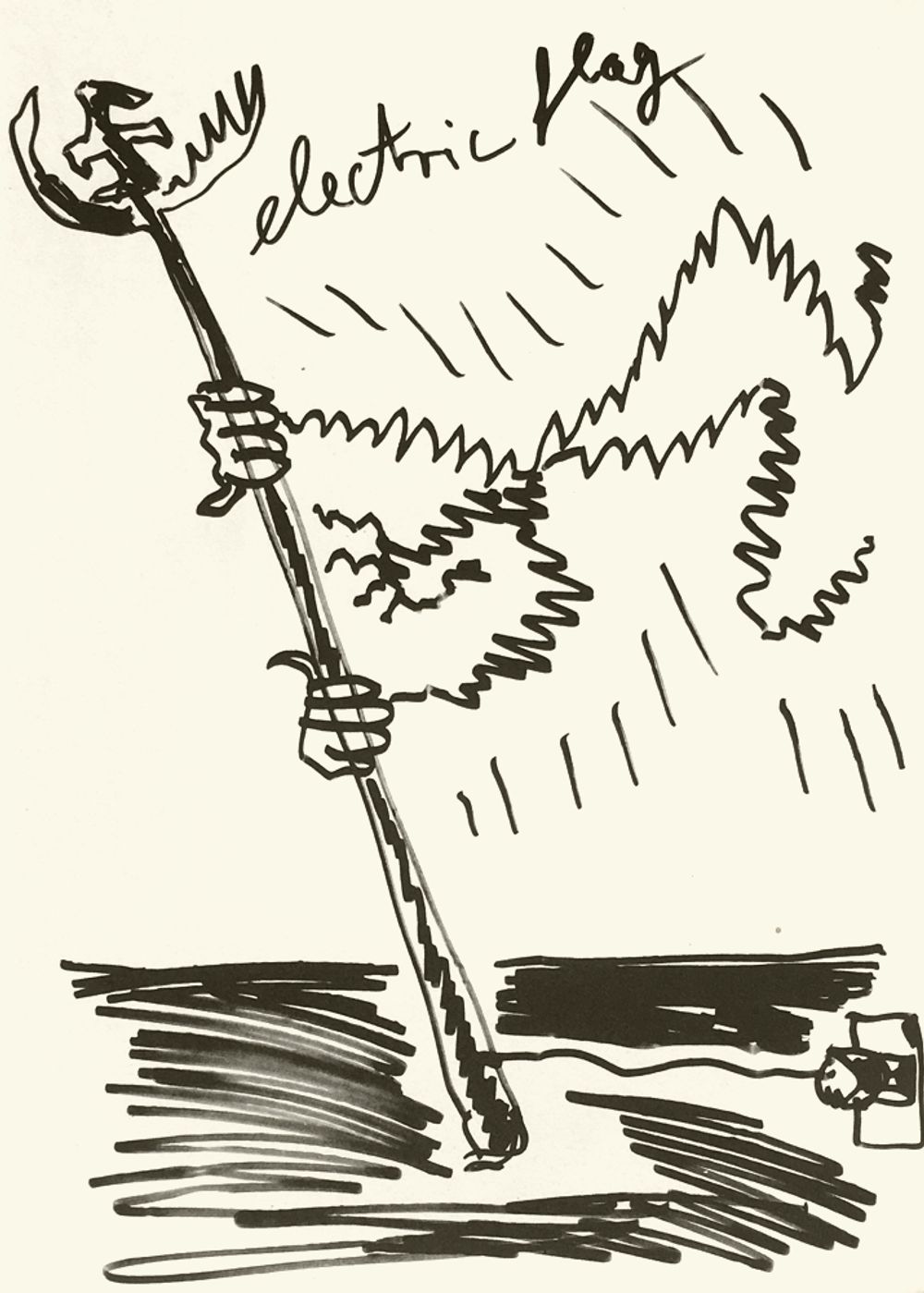 Electric flag