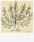 Le buisson