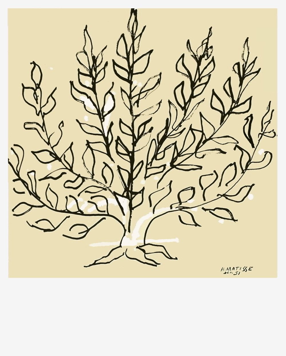 Le buisson